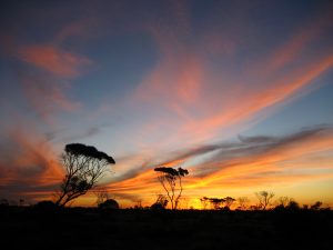 Sunset with bright orange clouds over desert plain.